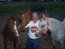Jay with mares