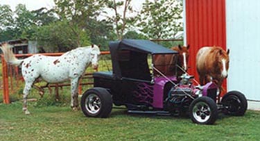 Horses with street rod